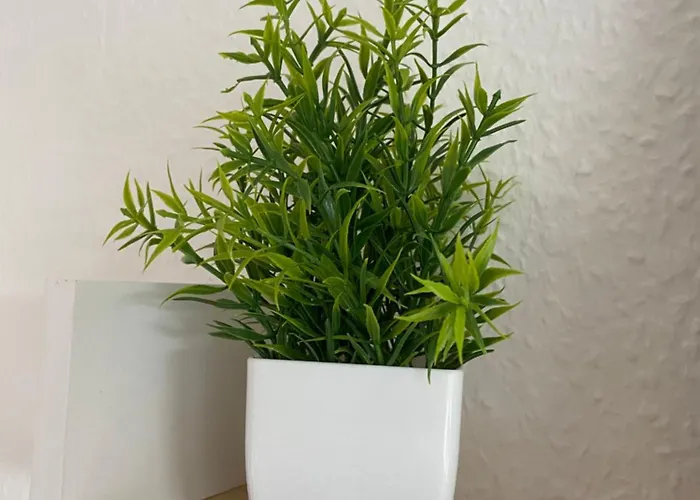 Blaue Lagune 2,5 Balkon Smarttv Kueche Wifi דירה *